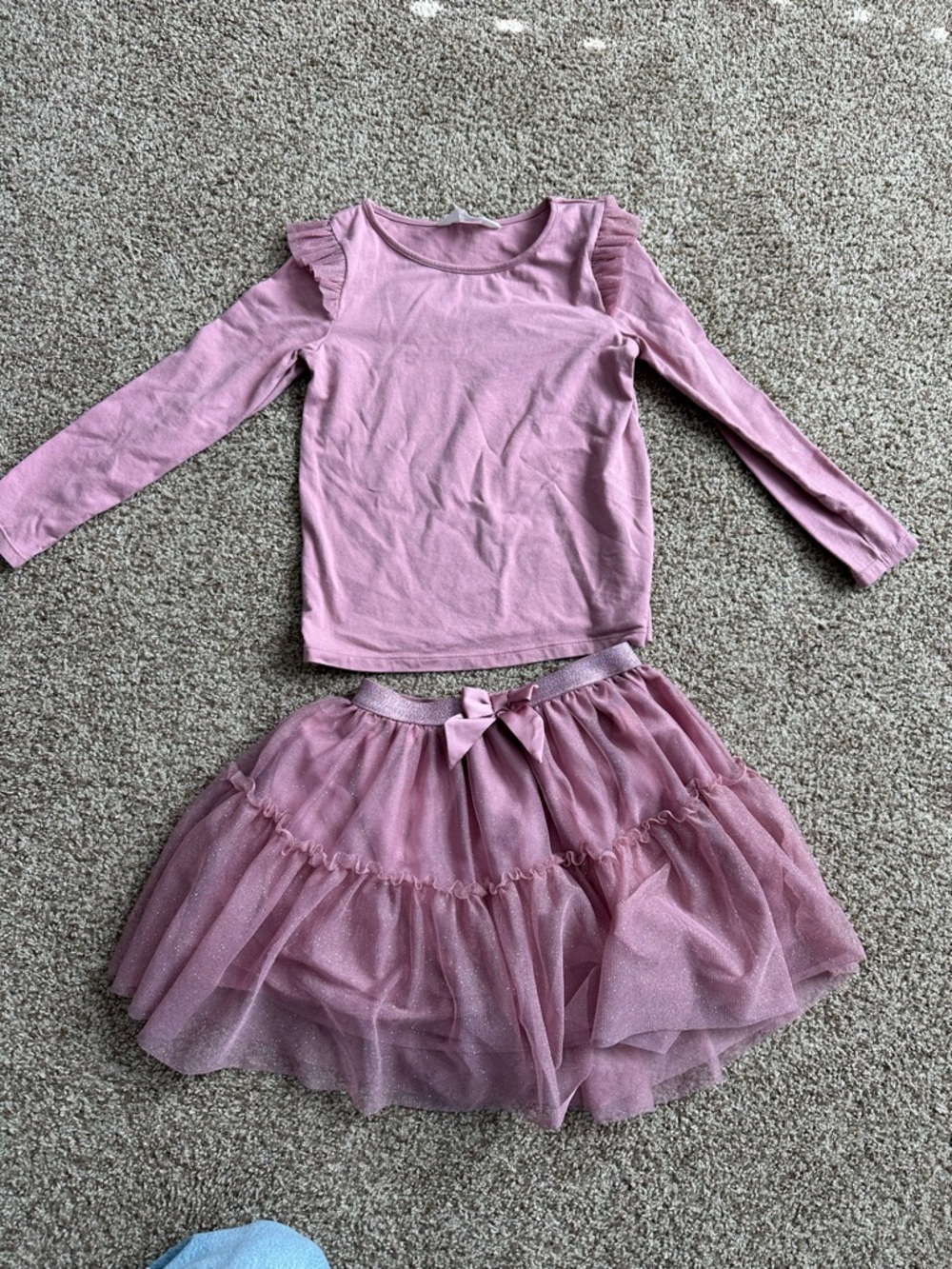 Kids Pink Tulle Skirt and Ruffled Long-Sleeve Top Set